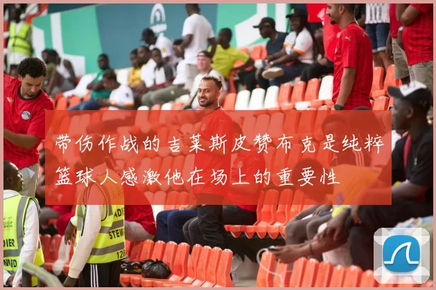 带伤作战的吉莱斯皮赞布克是纯粹篮球人感激他在场上的重要性