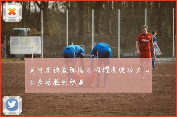 高诗岩德豪陈培东闪耀表现助力山东重返胜利轨道